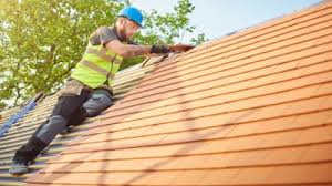 Best Roof Ventilation Installation  in Ackerman, MS
