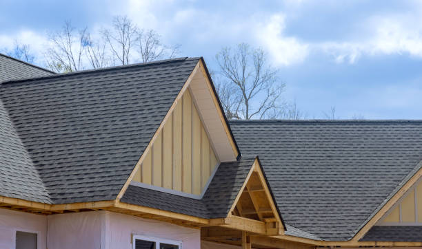 Best Asphalt Shingles Roofing  in Ackerman, MS